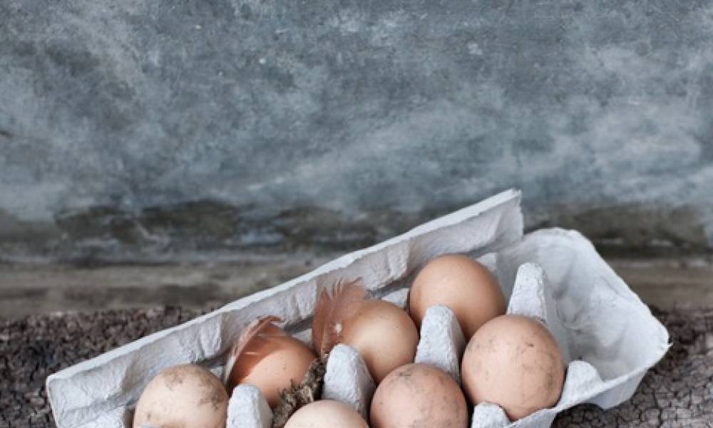 Article image for stepping on eggshells...free range eggs