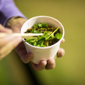 Meal example close up