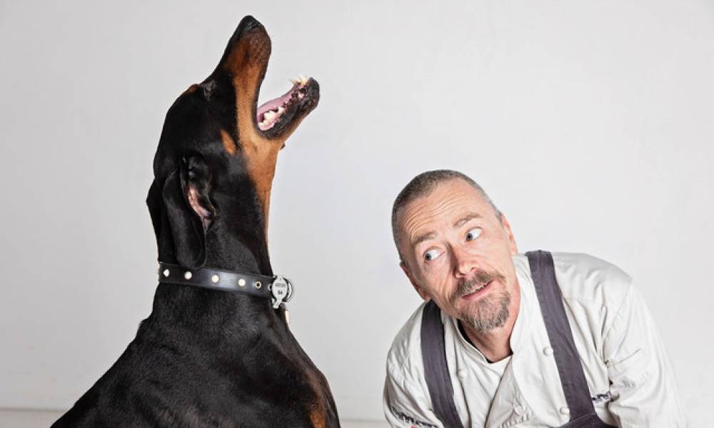 Article image for the problem with dogs...